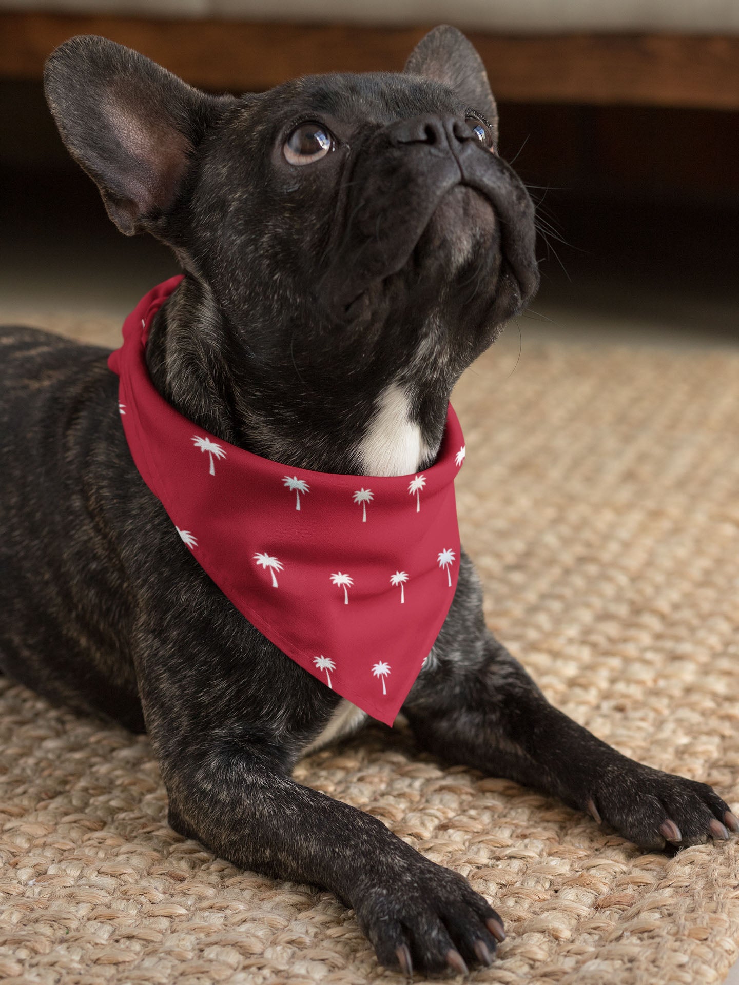 A French Bulldog wearing a red bandana with small white palm tree prints sits on a woven rug, looking upward with ears perked.