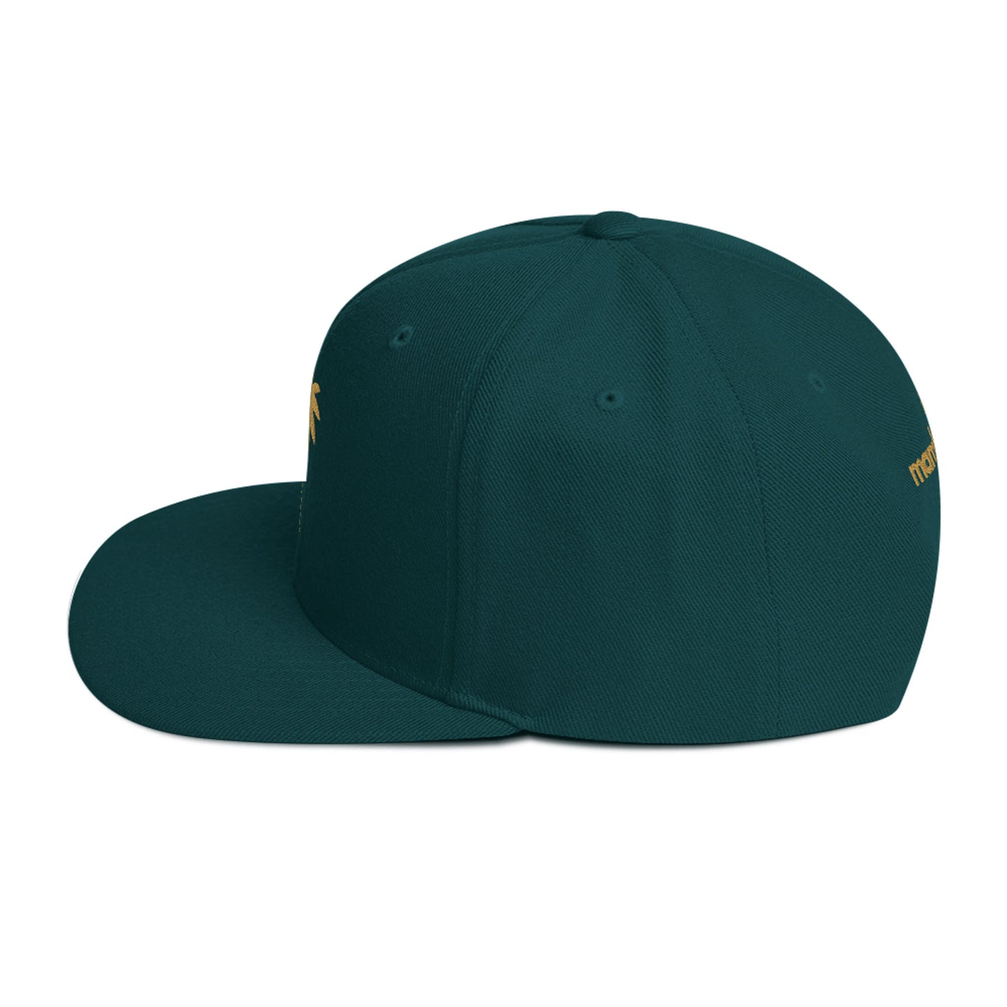 “Andy” Structured Snapback Cap
