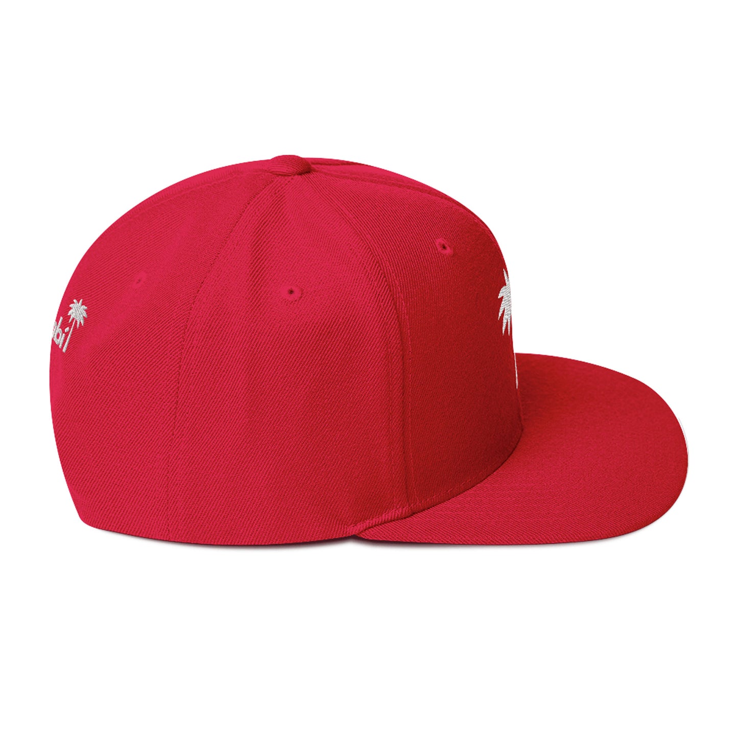 “Andy” Structured Snapback Cap