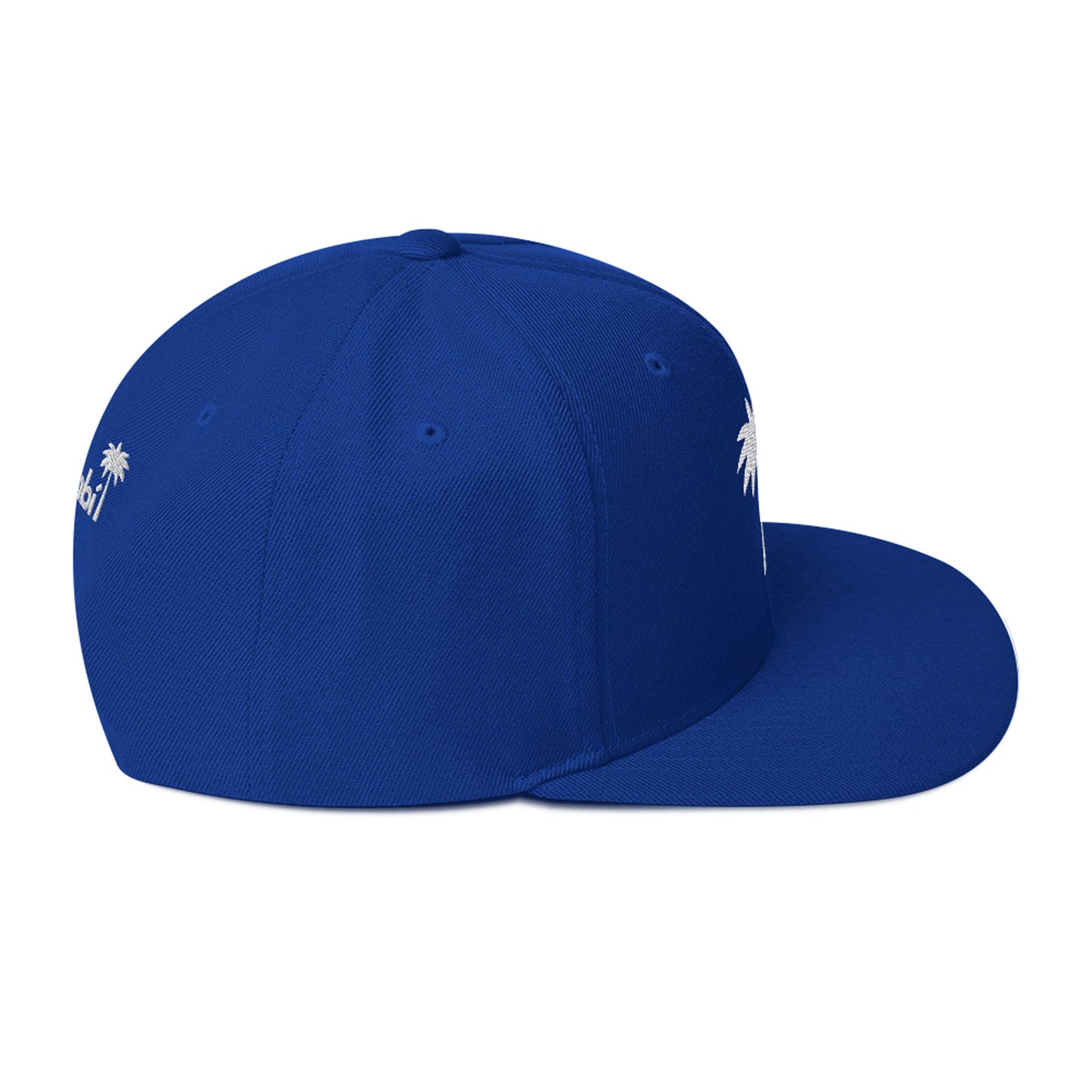 “Andy” Structured Snapback Cap