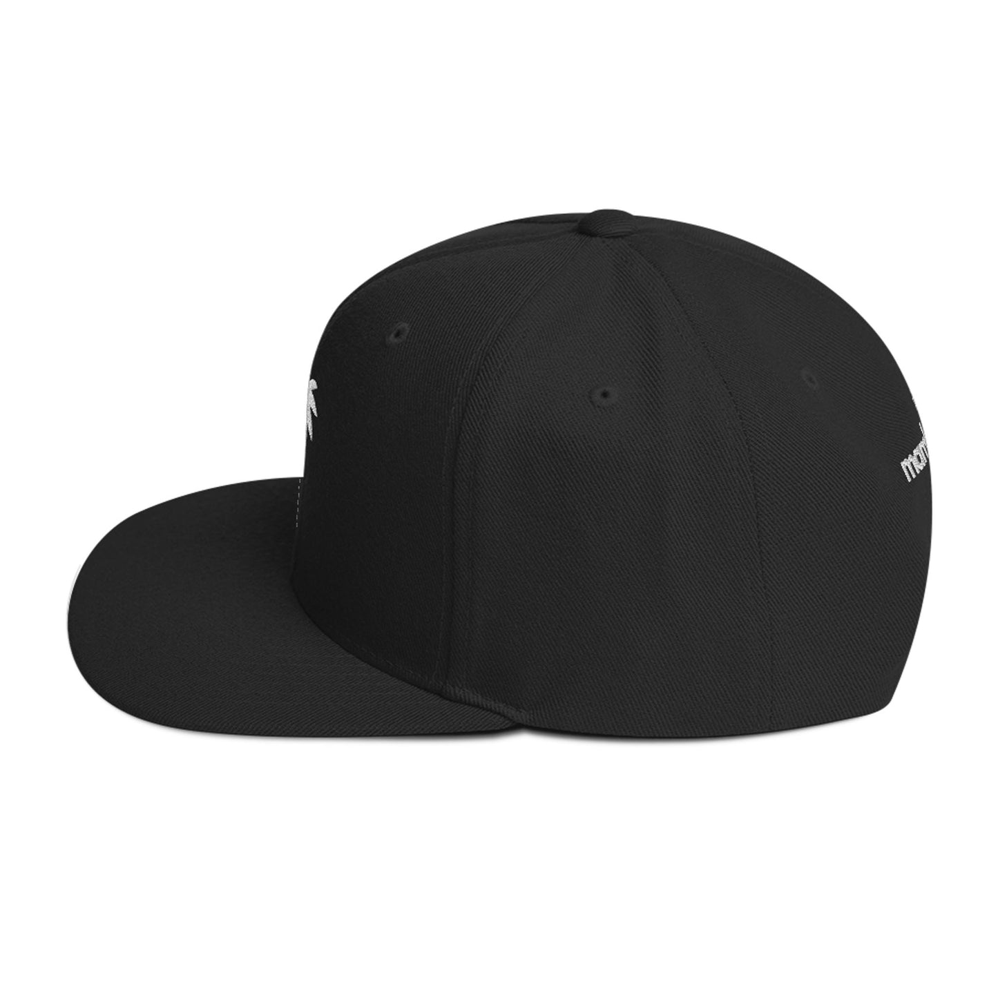 “Andy” Structured Snapback Cap