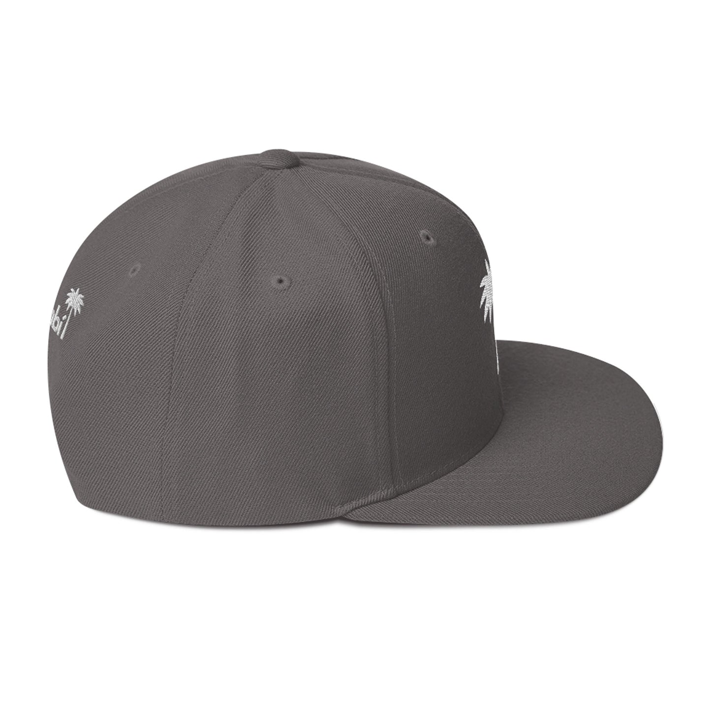 “Andy” Structured Snapback Cap
