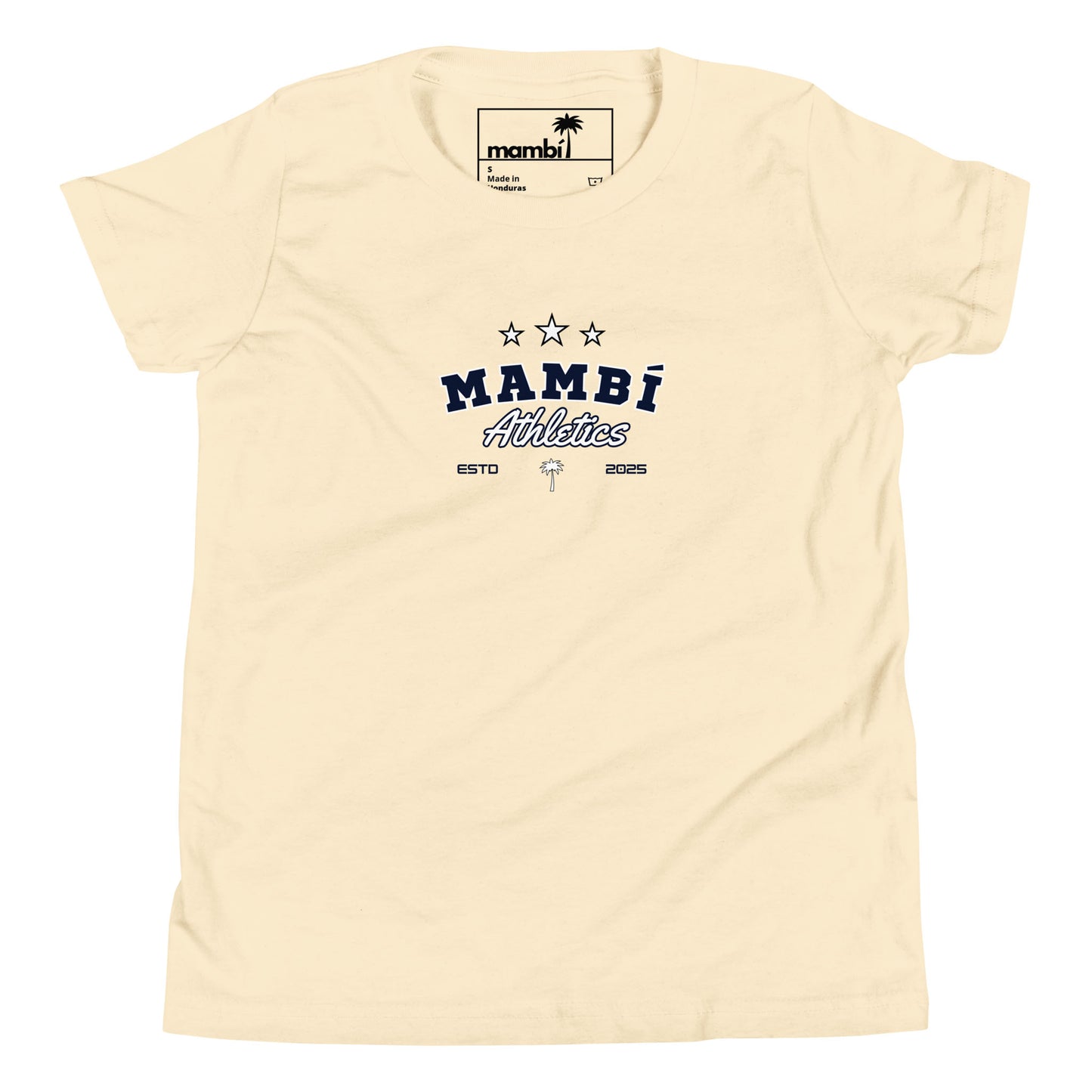 "Jasper" Relaxed Fit Graphic Tee | Big Kid and Teen