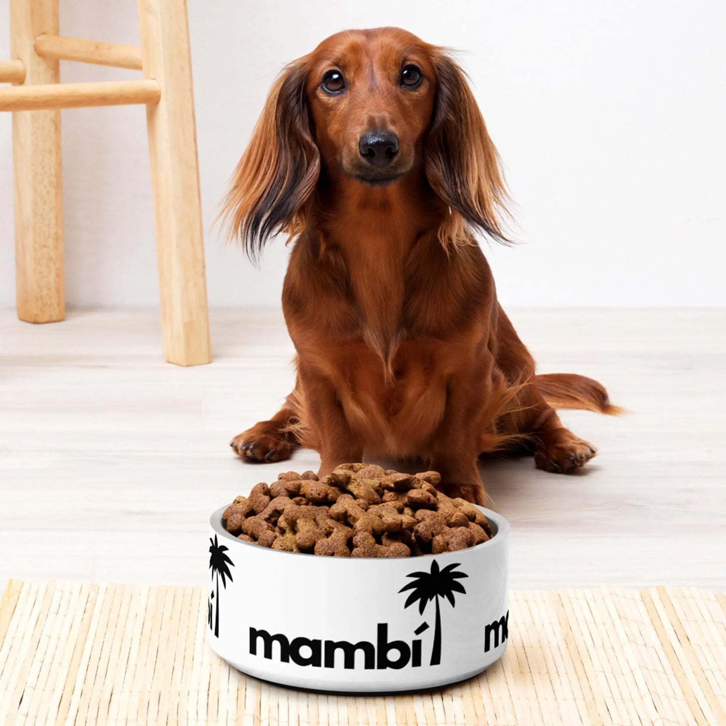 A long-haired brown dachshund sits on a light floor behind a white, dishwasher-safe Simon Stainless Non-Slip Pet Bowl by Printful (18oz & 32oz), featuring palm tree graphics and the word mambi. A wooden chair and woven rug are in the background.
