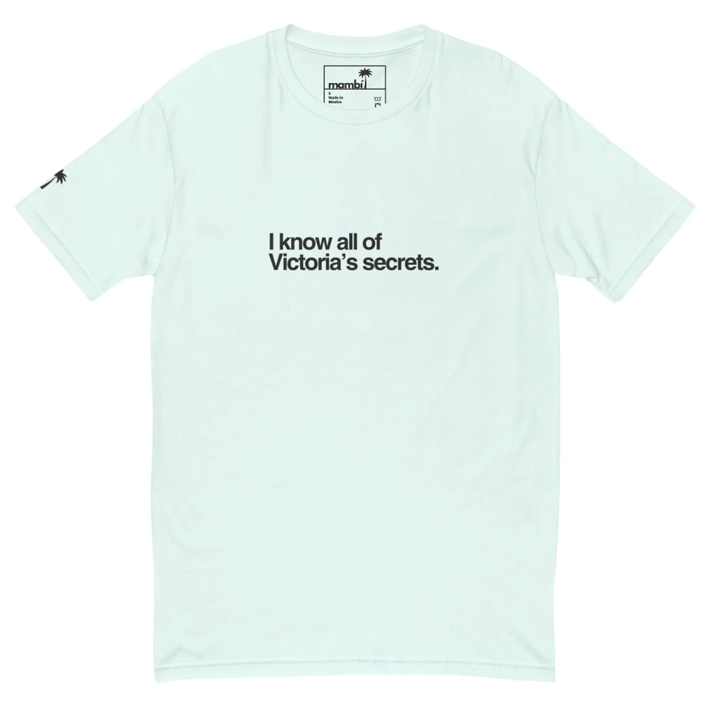 Light blue t-shirt with black text on a white background